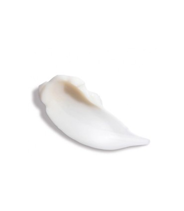 Caudalie Resveratrol Lift Creme Tisana de Noite 50ml