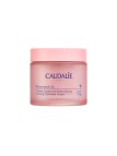 Caudalie Resveratrol-Lift Creme Caxemira Redensificador Recarga 50ml