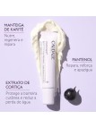 Caudalie Vinotherapist Bálsamo de Lábios Vegan Reparador 7,5ml