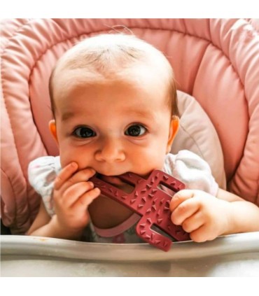 Minikoioi Mordedor Cactus Bordeaux