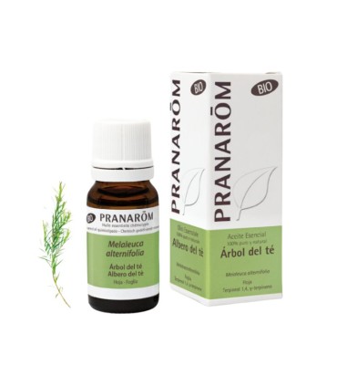 Pranarom Óleo Essencial Árvore de Chá 10ml