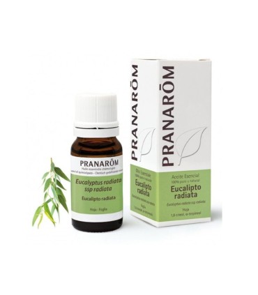 Pranarom Óleo Essencial Eucalipto Radiata Bio 10ml