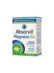 Absorvit Magnesio B6 60 comprimidos
