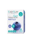 Easyslim Gelatina Light Mirtilo 2x15g