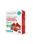 Easyslim Gelatina Light Morango Melância 2x15g